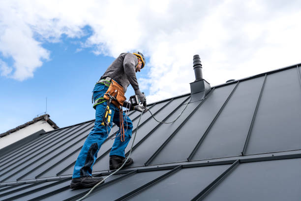 Best Roof Maintenance and Cleaning  in Herndon, VA